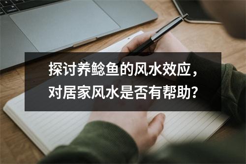 探讨养鲶鱼的风水效应，对居家风水是否有帮助？