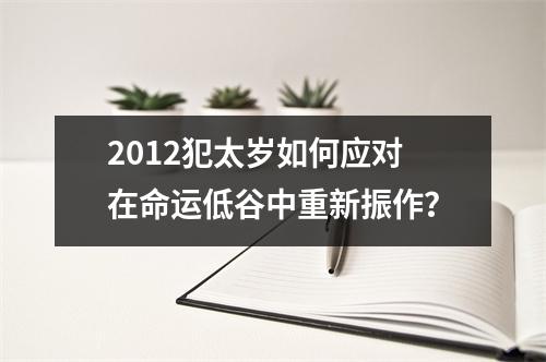 2012犯太岁如何应对在命运低谷中重新振作？