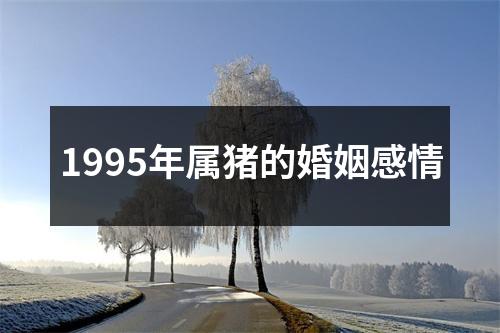 1995年属猪的婚姻感情
