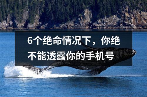 6个绝命情况下，你绝不能透露你的手机号