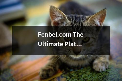 Fenbei.com The Ultimate Platform for Smart Financial Management
