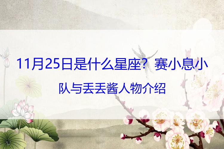 11月25日是什么星座？赛小息小队与丢丢酱人物介绍