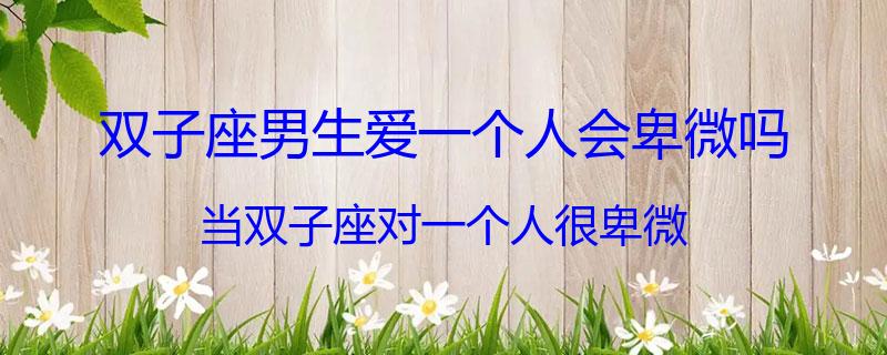 双子座男生爱一个人会卑微吗？当双子座对一个人很卑微