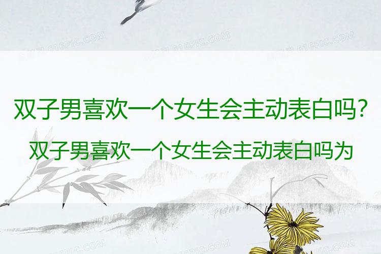 双子男喜欢一个女生会主动表白吗？双子男喜欢一个女生会主动表白吗为什么
