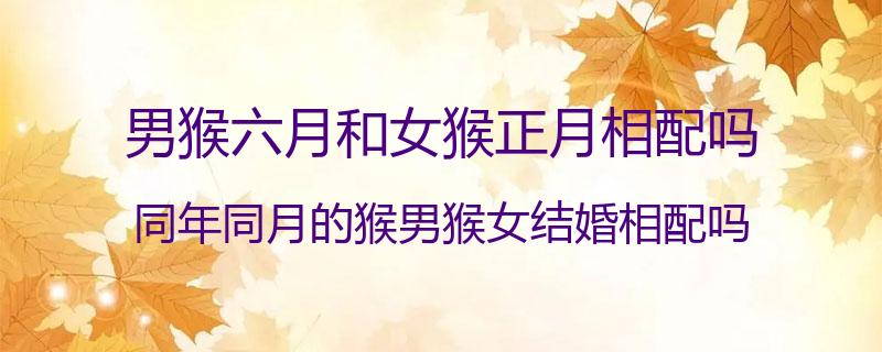 男猴六月和女猴正月相配吗？同年同月的猴男猴女结婚相配吗