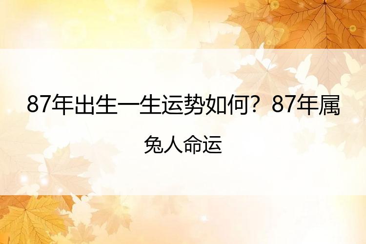 87年出生一生运势如何？87年属兔人命运
