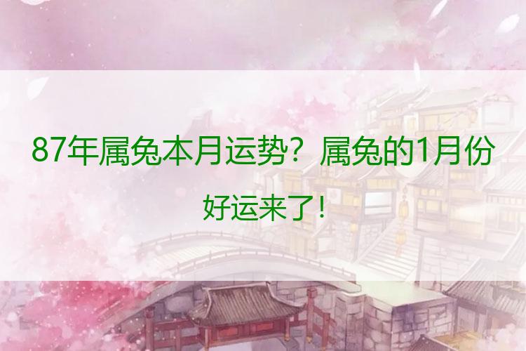87年属兔本月运势？属兔的1月份好运来了！