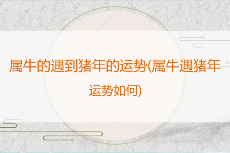 属牛的遇到猪年的运势