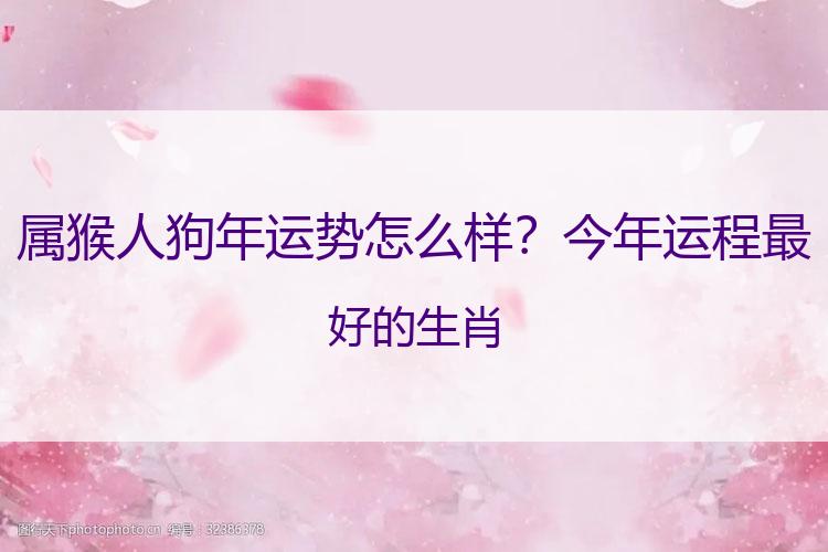属猴人狗年运势怎么样？今年运程最好的生肖