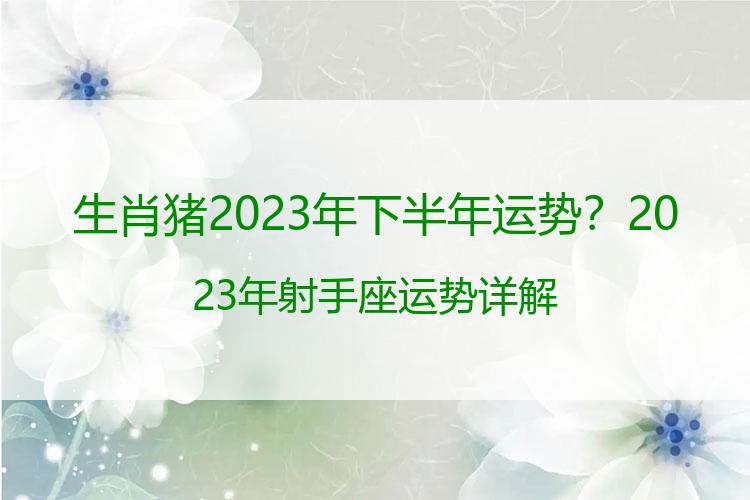 生肖猪2023年下半年运势？2023年射手座运势详解