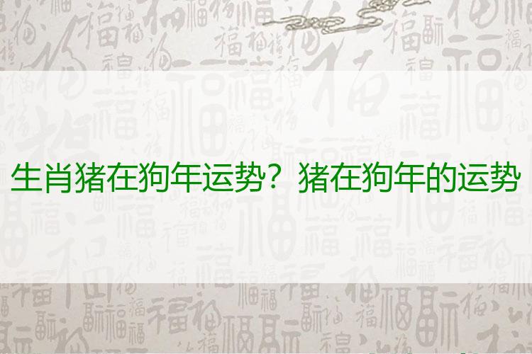 生肖猪在狗年运势？猪在狗年的运势