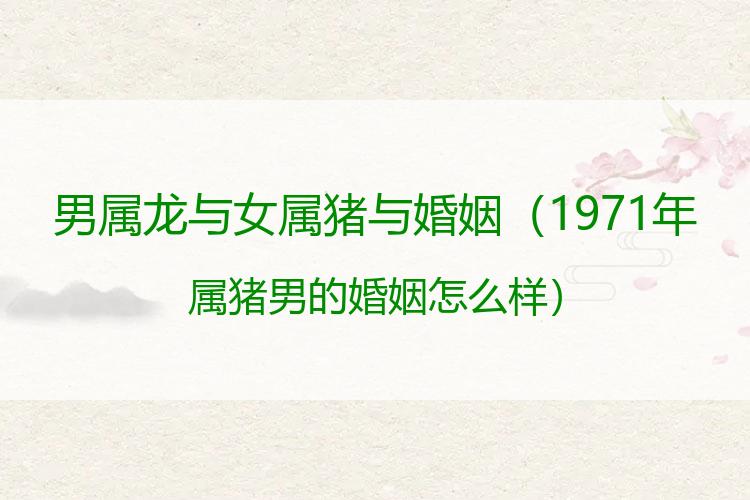 男属龙与女属猪与婚姻
