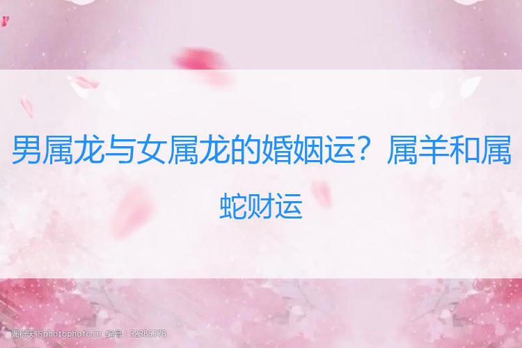 男属龙与女属龙的婚姻运？属羊和属蛇财运