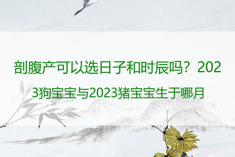 剖腹产可以选日子和时辰吗？2023狗宝宝与2023猪宝宝生于哪月好？